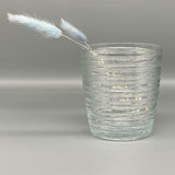Small Clear Glass Ribbed Vase